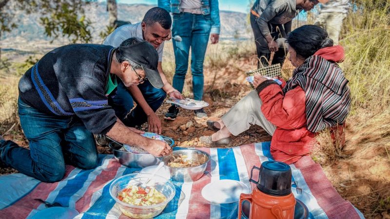 Dejeuner PicNic